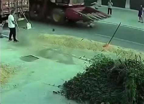 livegore|Gore Video .